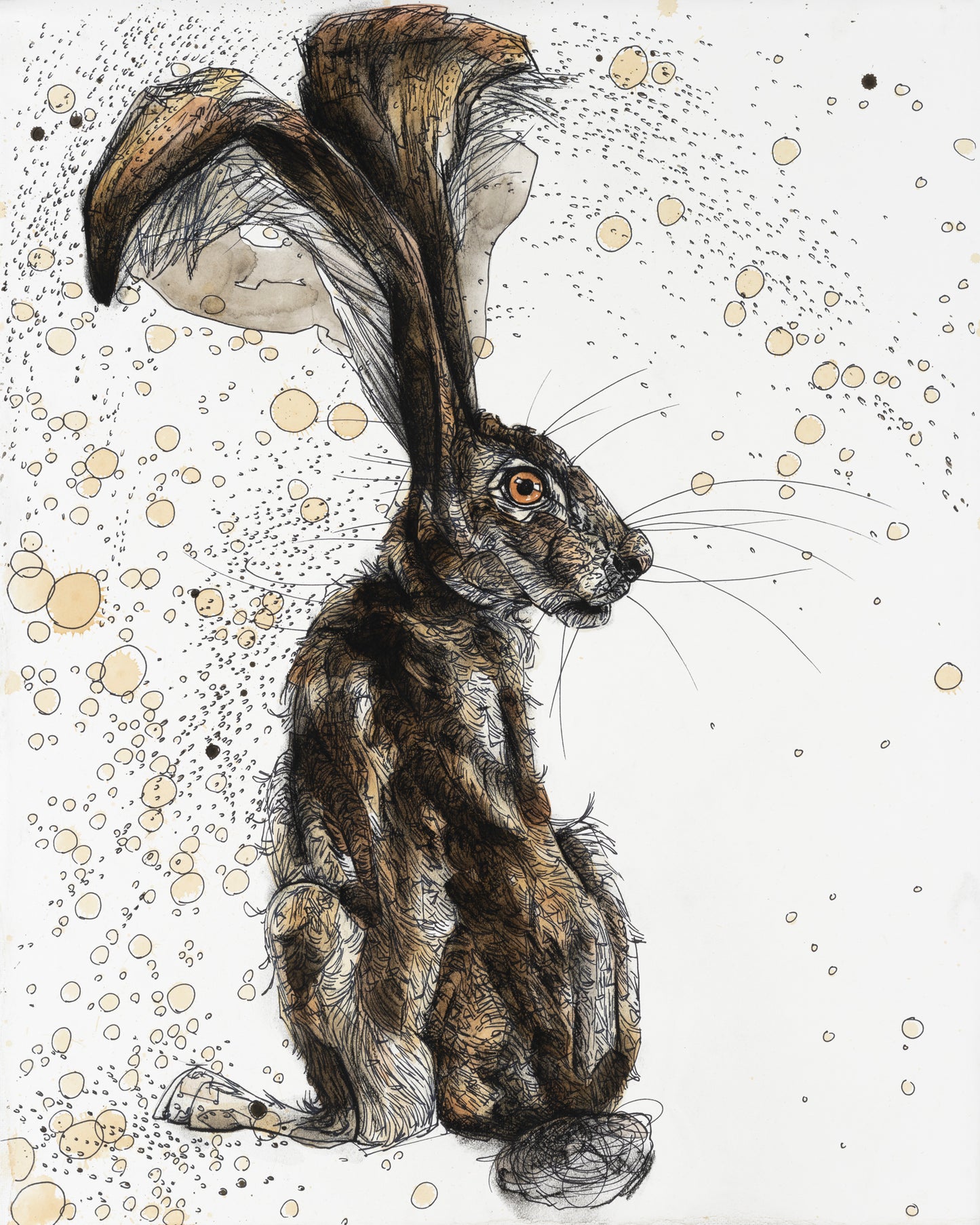 Hare Tail