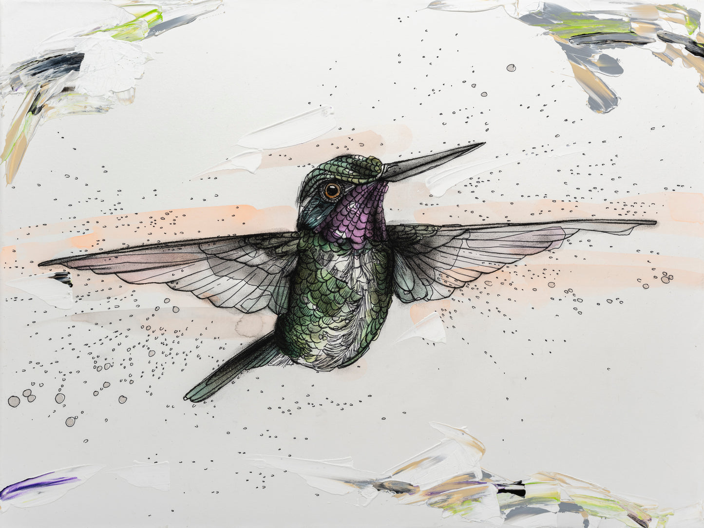 Anna's Forward Flying Hummingbird