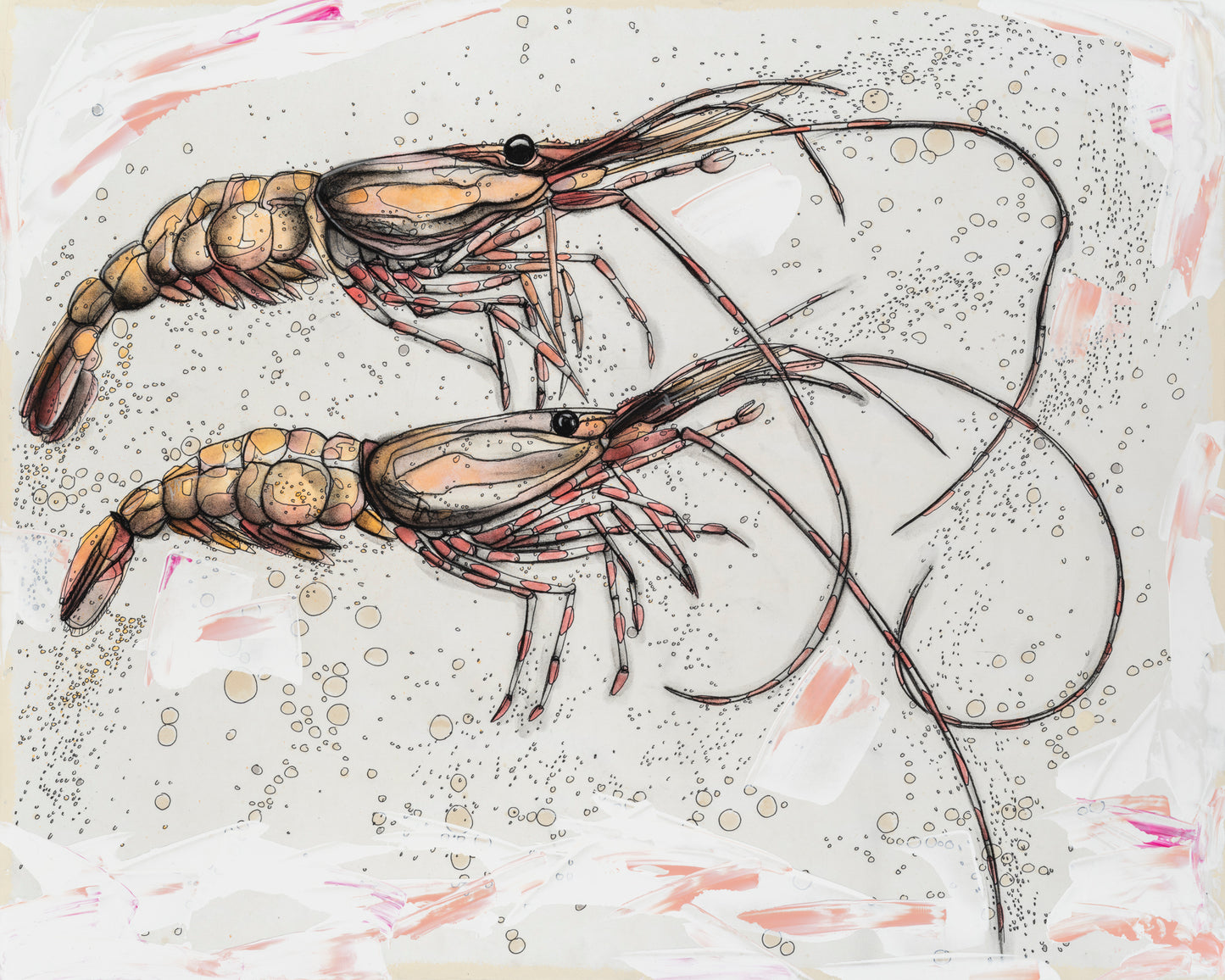 Spot Prawns