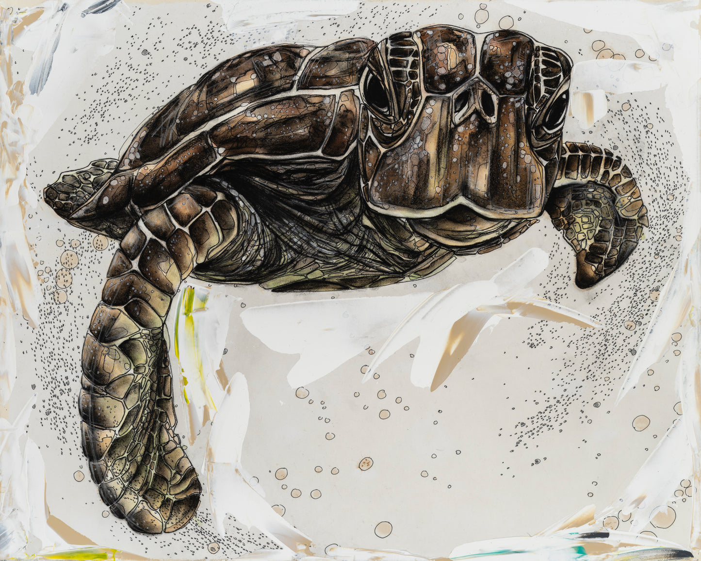 Sea Turtle