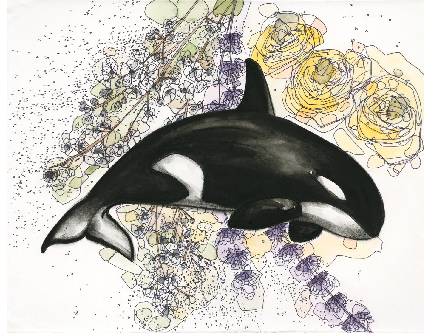 Buttercup Orca