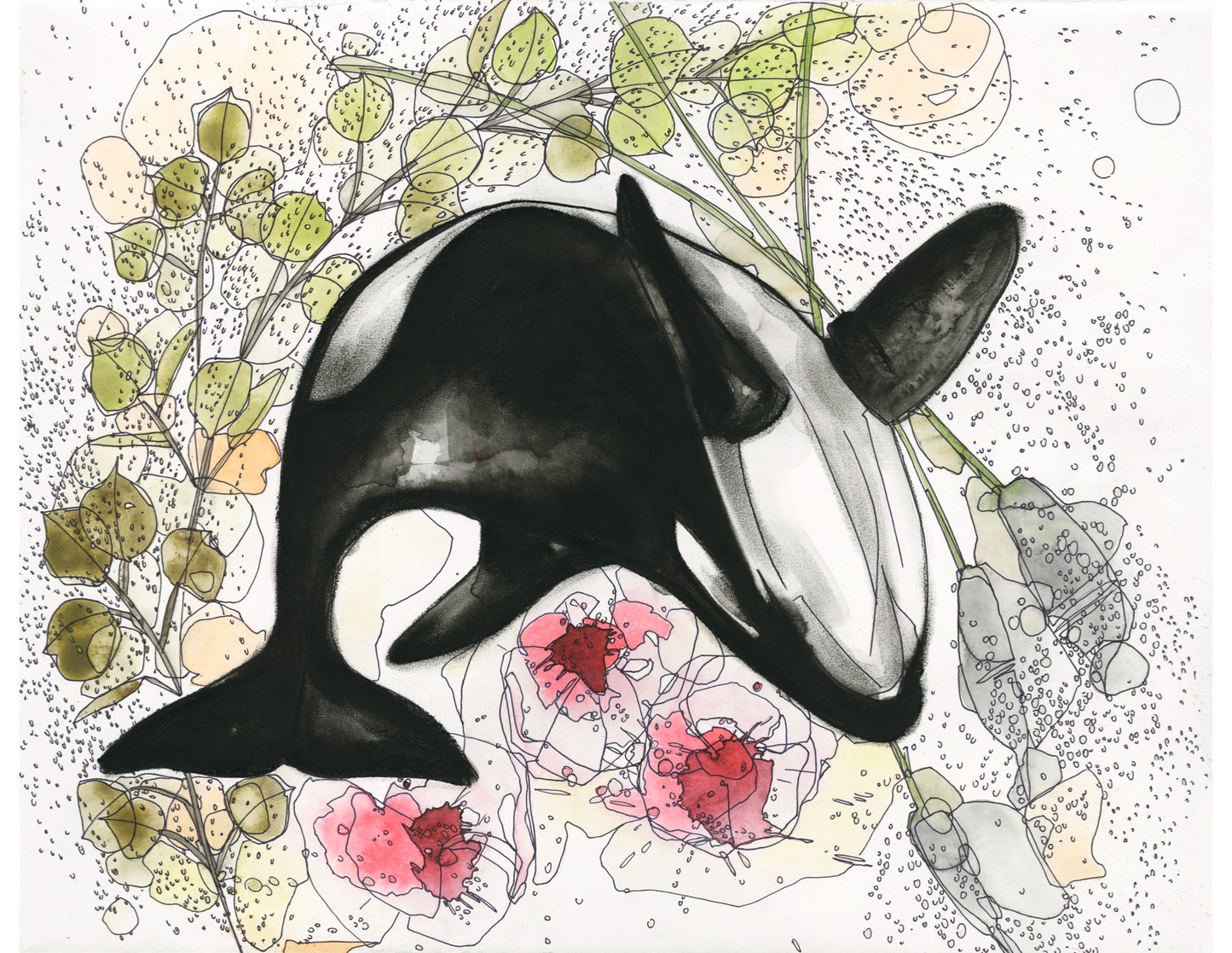 Eucalyptus Orca