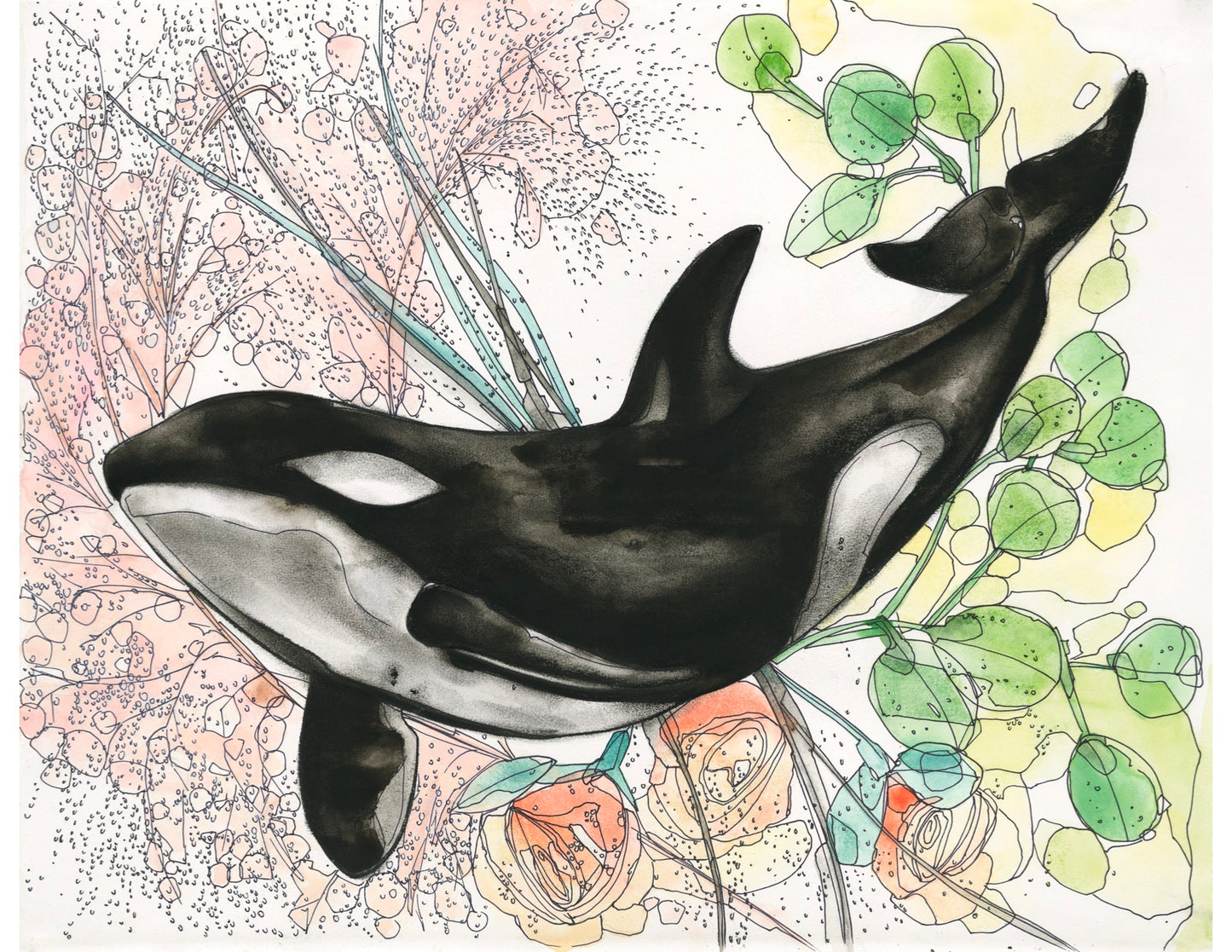 Peach Wheat Orca