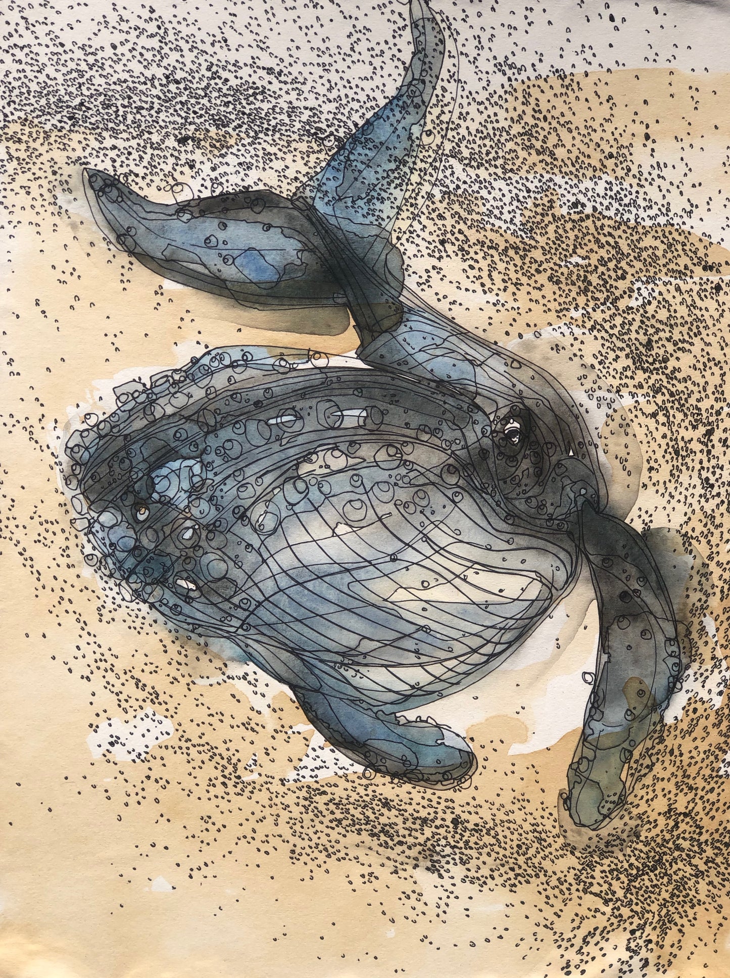 Tea Stained Humpback #1