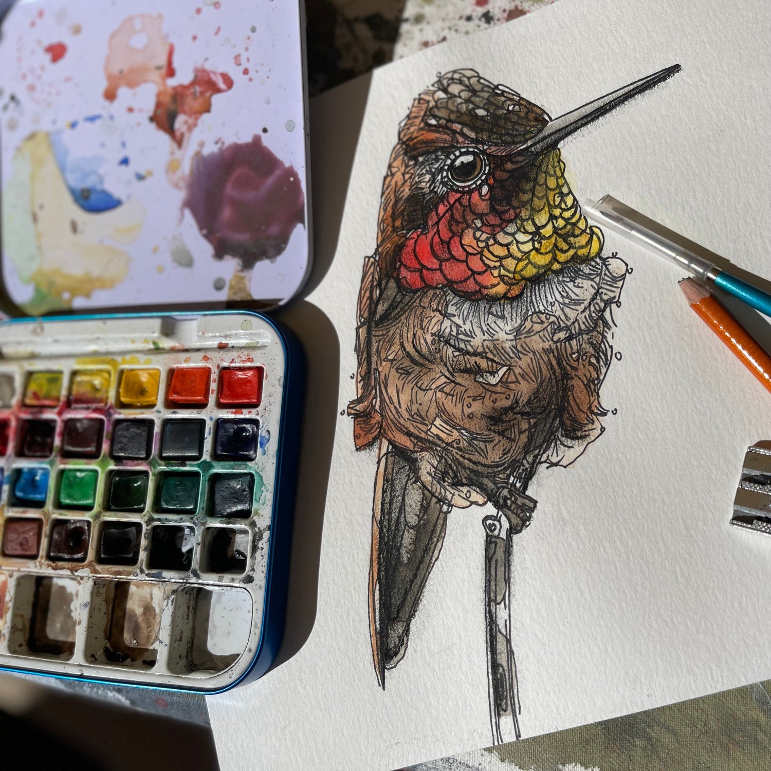 Birds