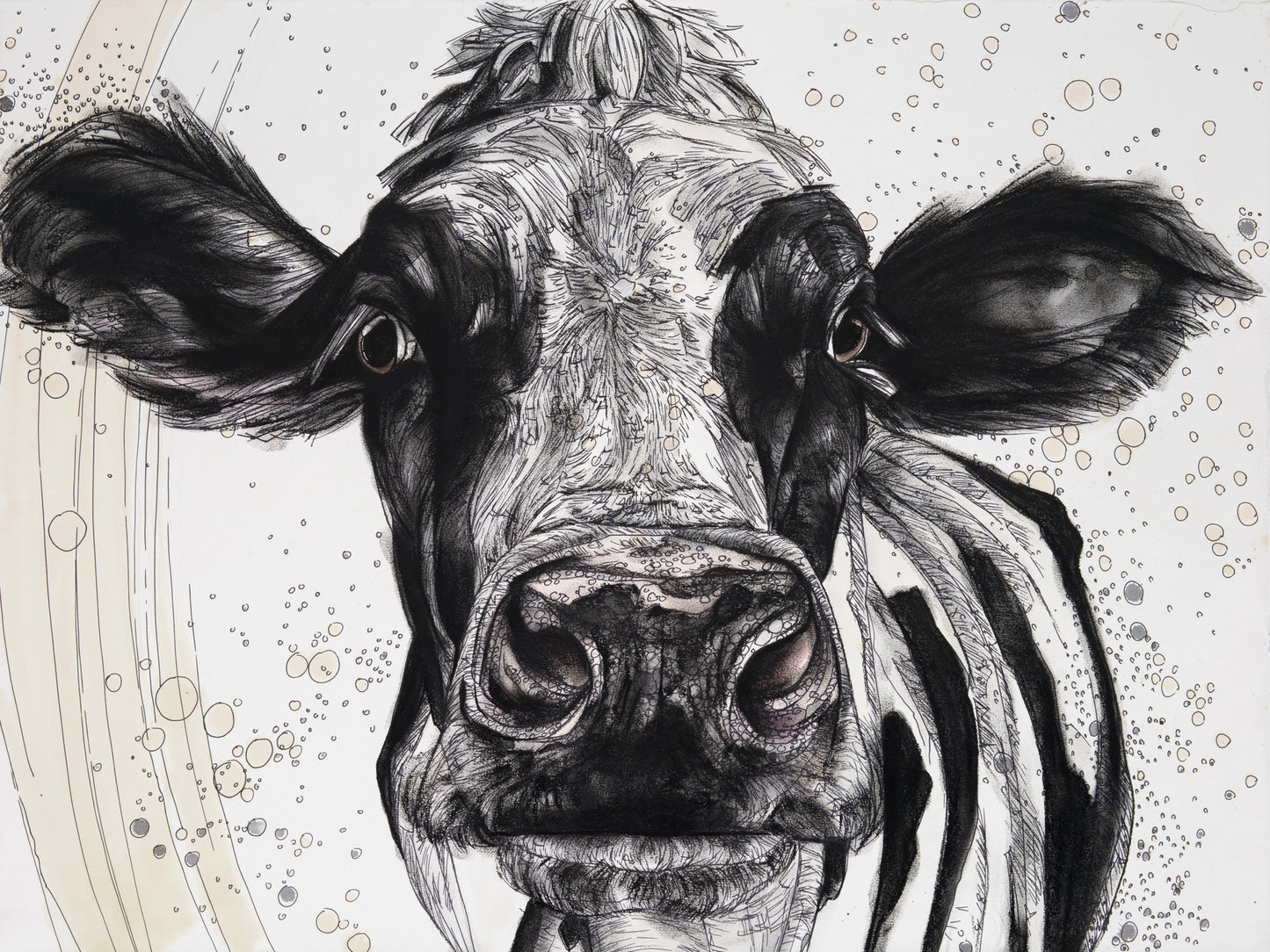 Dairy Cow