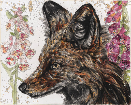 Fox