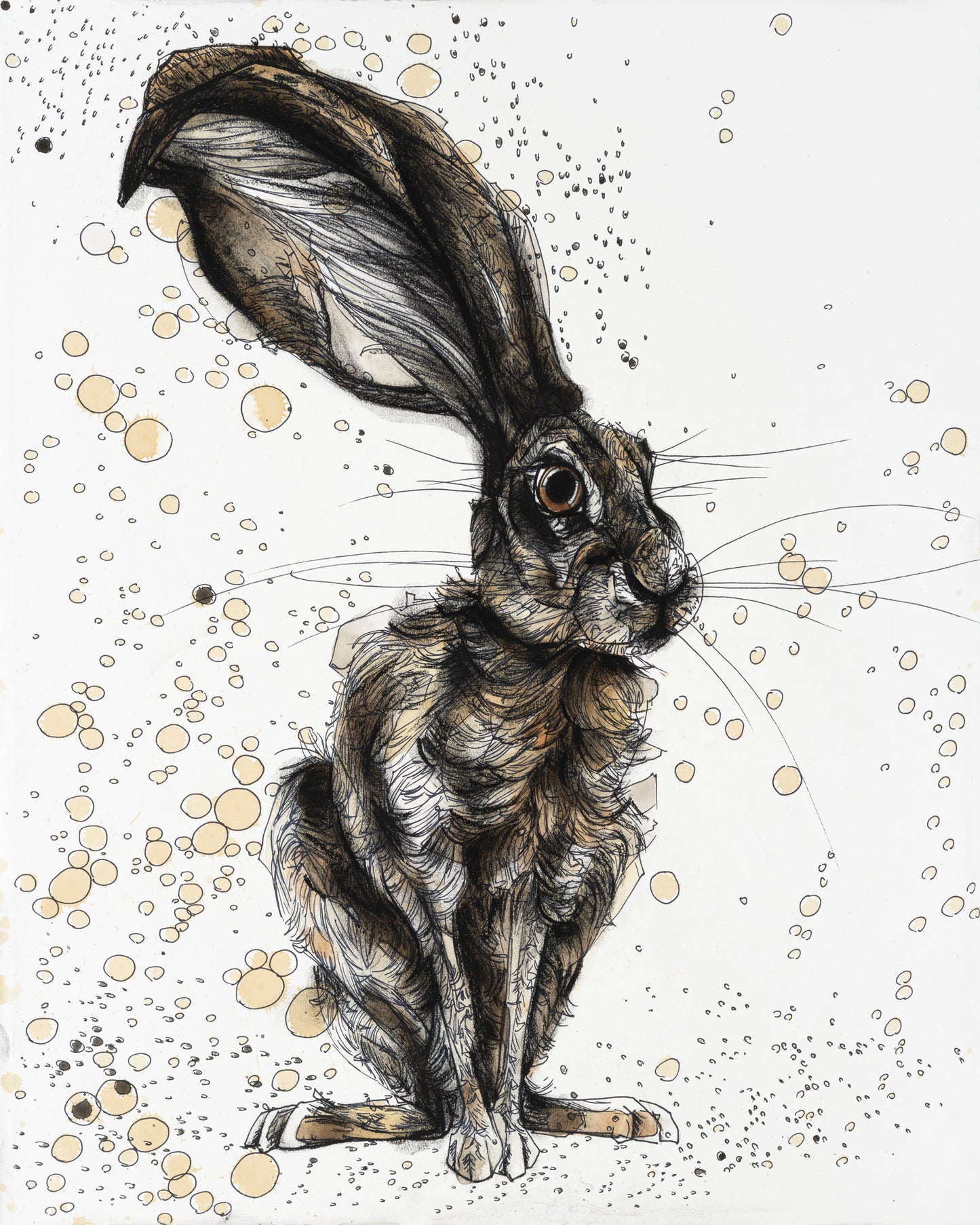 Ears Up Hare