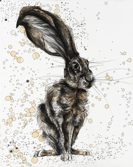 Ears Up Hare