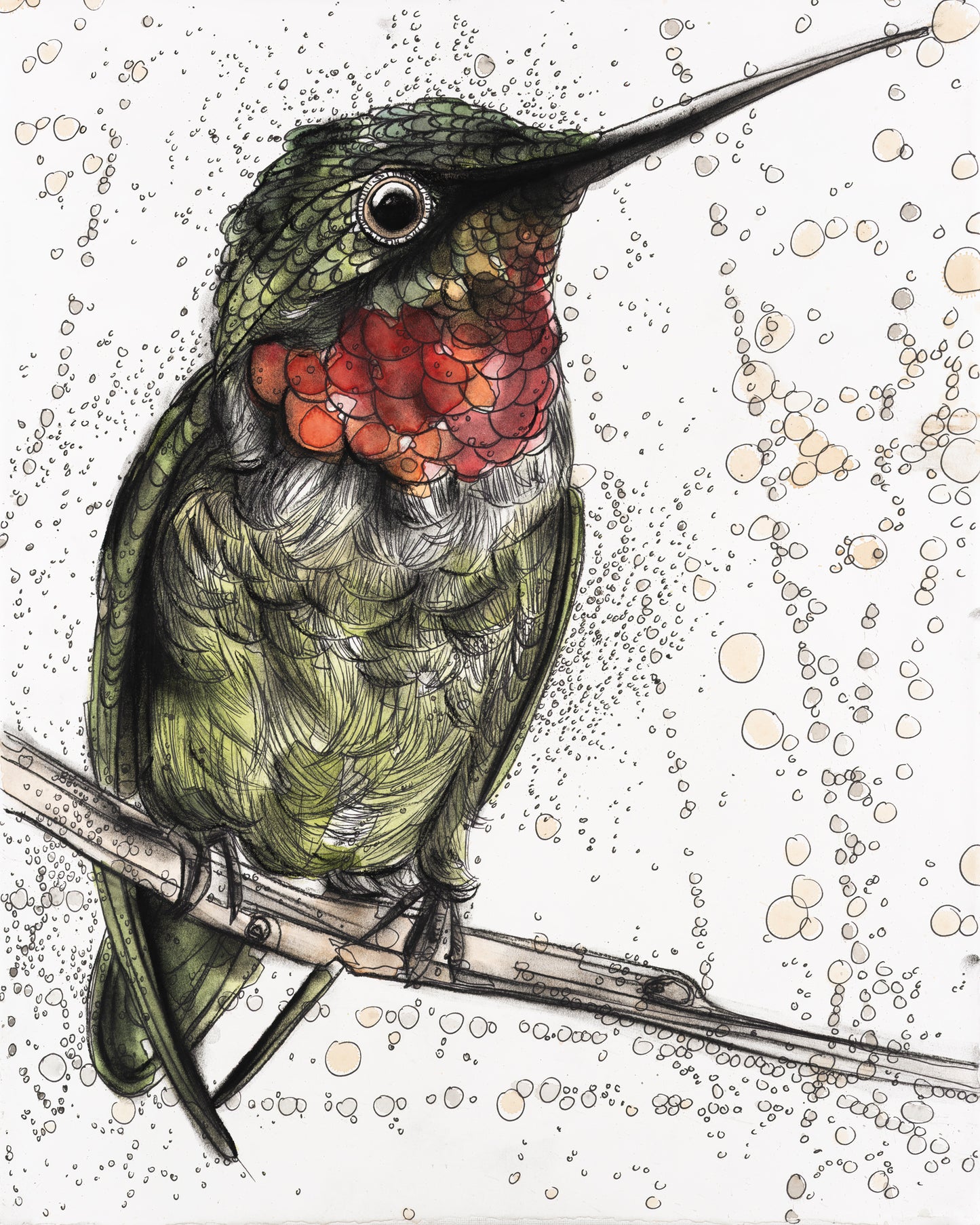 Ruby Throated Hummingbird