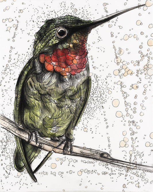 Ruby Throated Hummingbird
