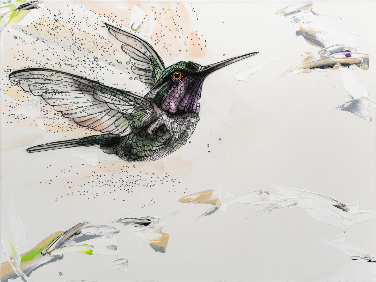 Anna's Drift Hummingbird