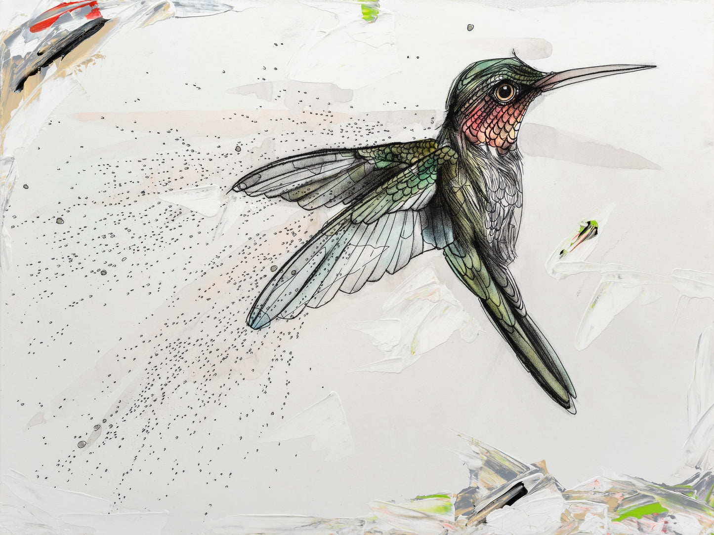 Ruby-throated Sip Hummingbird