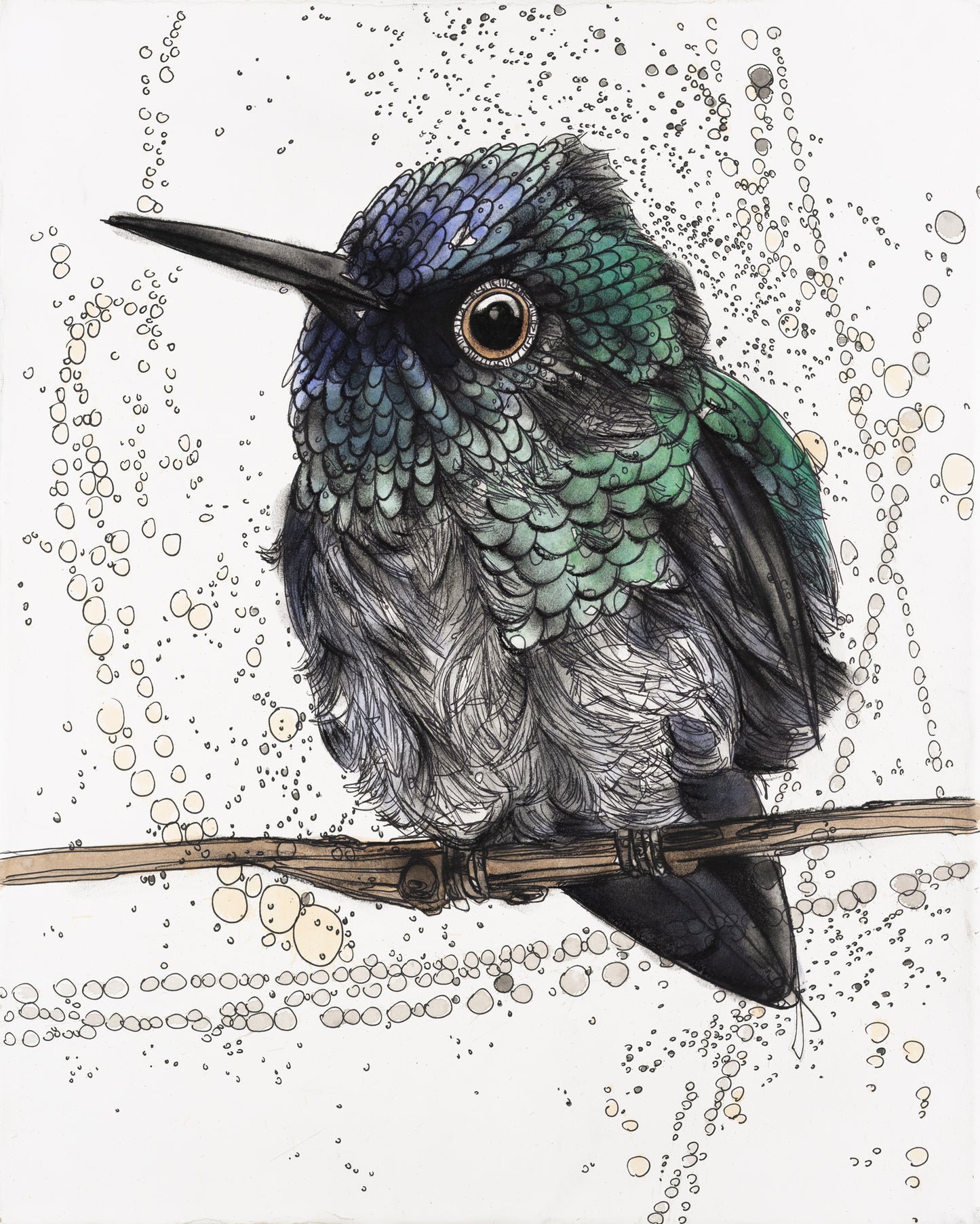 Bee Hummingbird