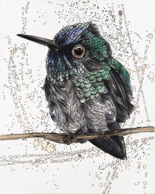 Bee Hummingbird