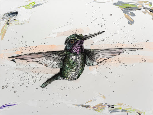 Anna's Forward Flying Hummingbird