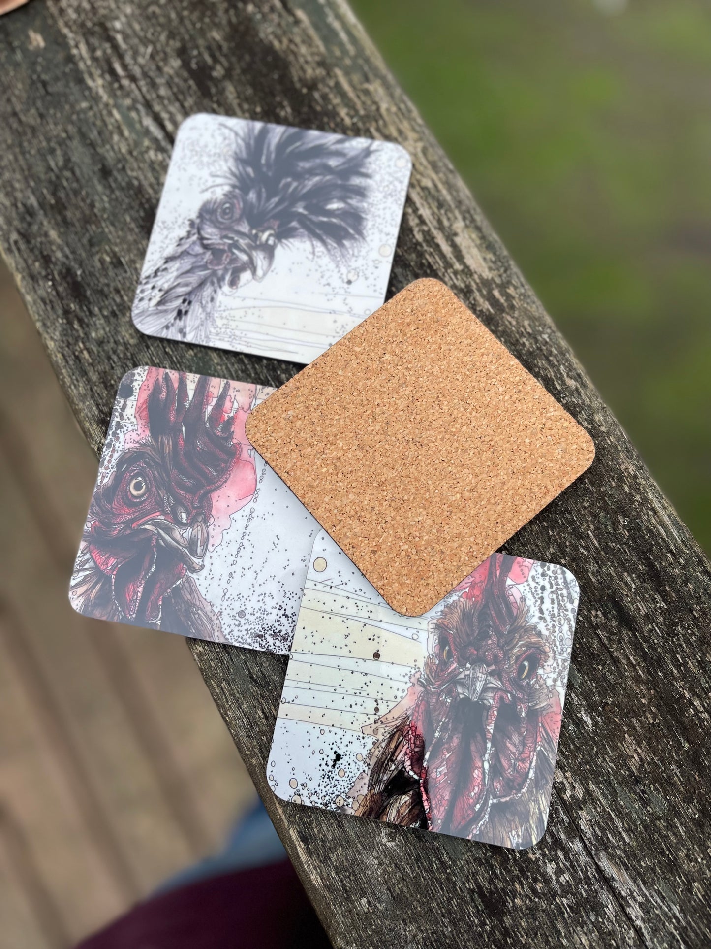 Pecking Order Coaster 6-Pack