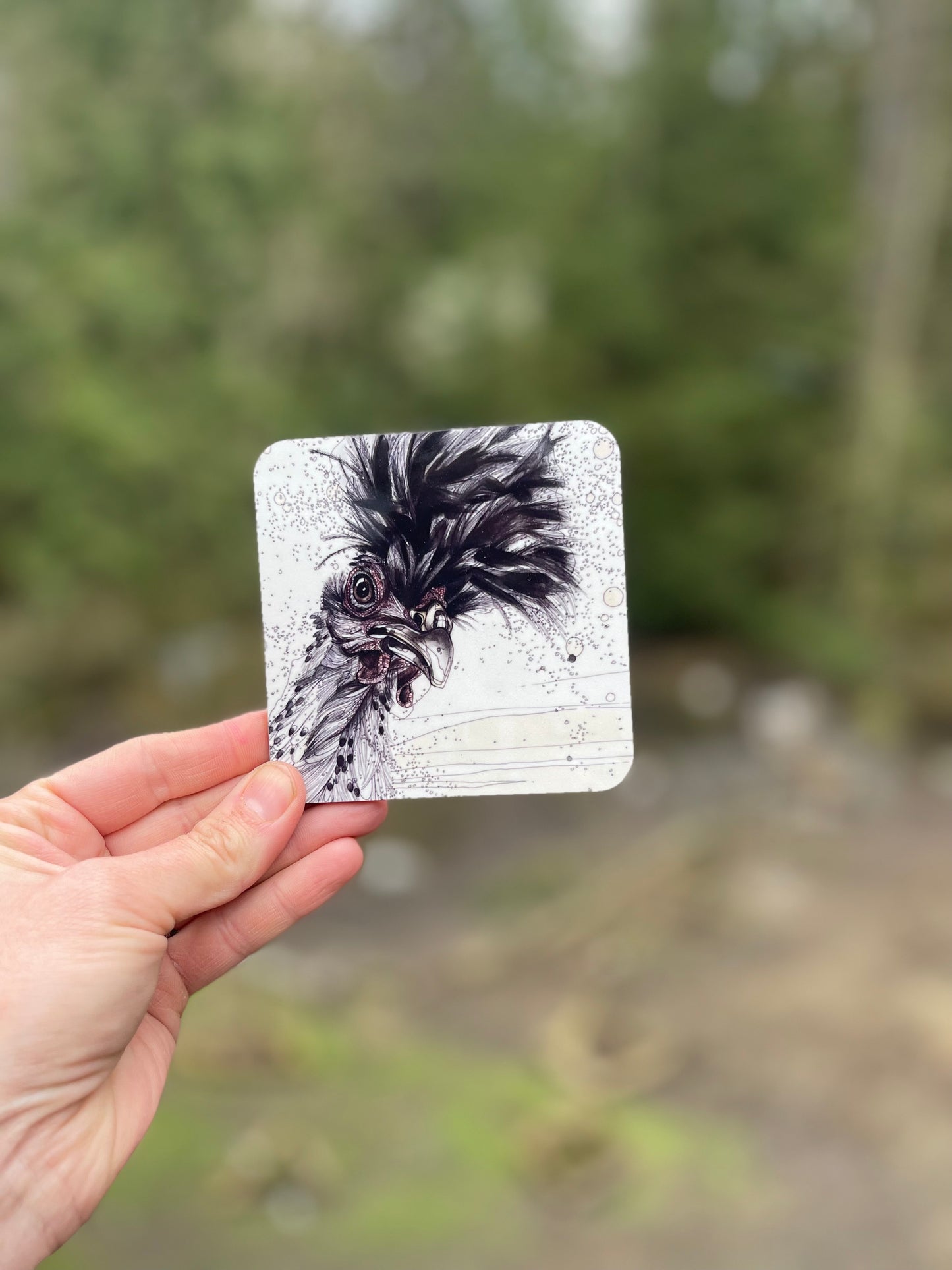 Pecking Order Coaster 6-Pack