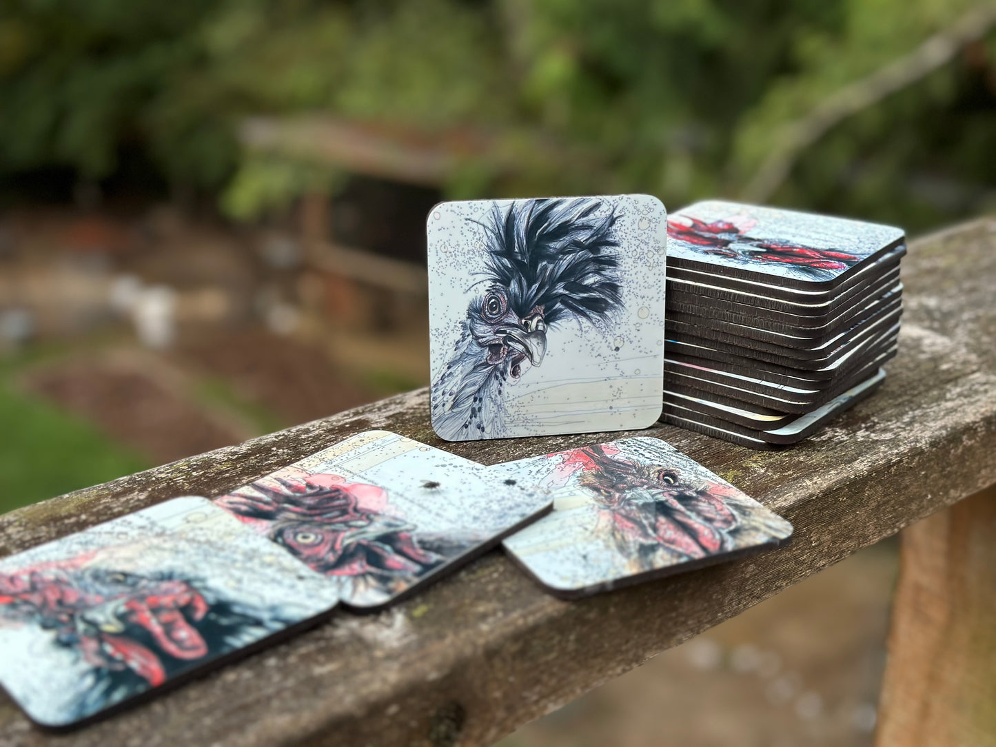 Pecking Order Coaster 6-Pack