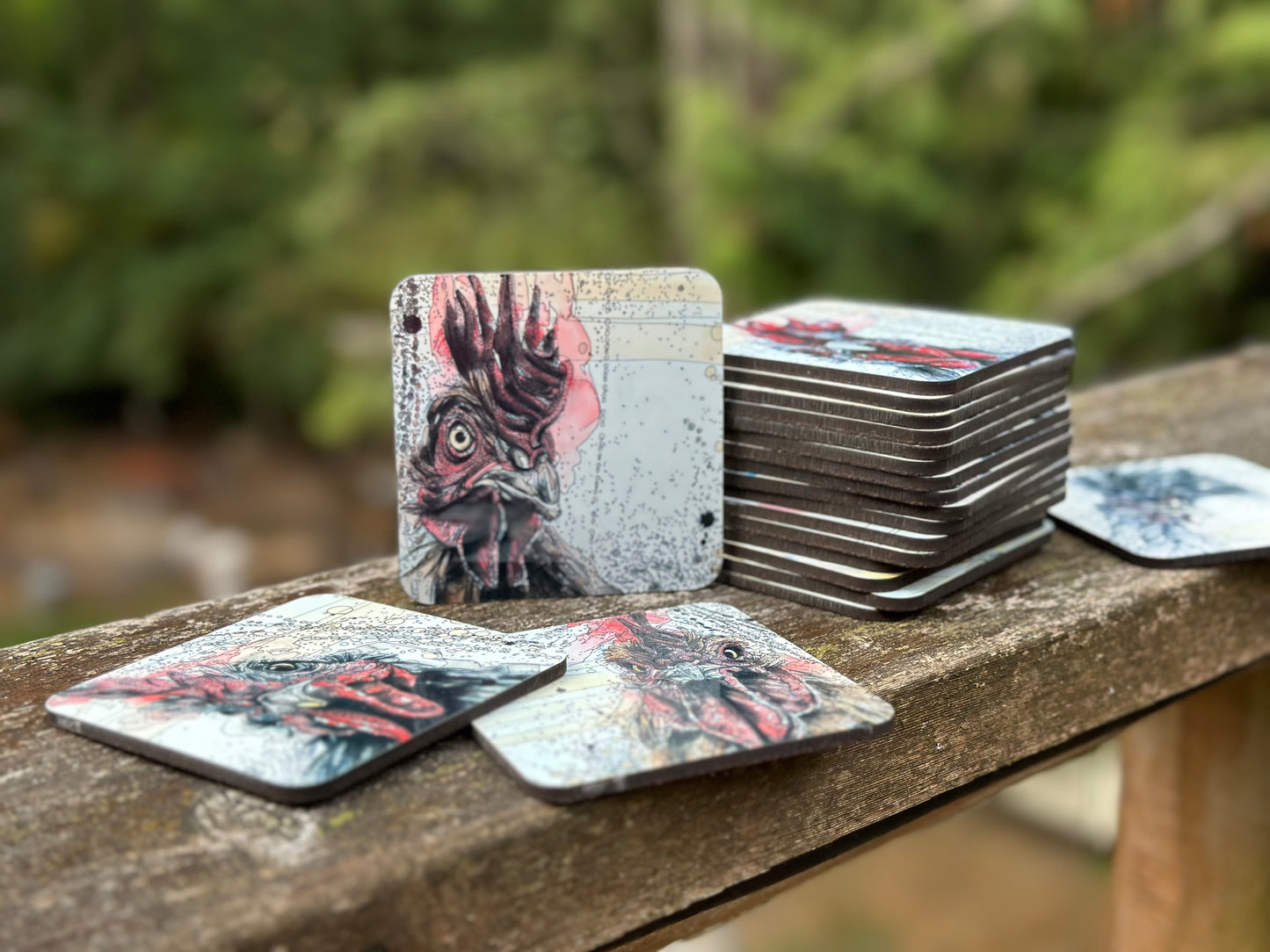 Pecking Order Coaster 6-Pack
