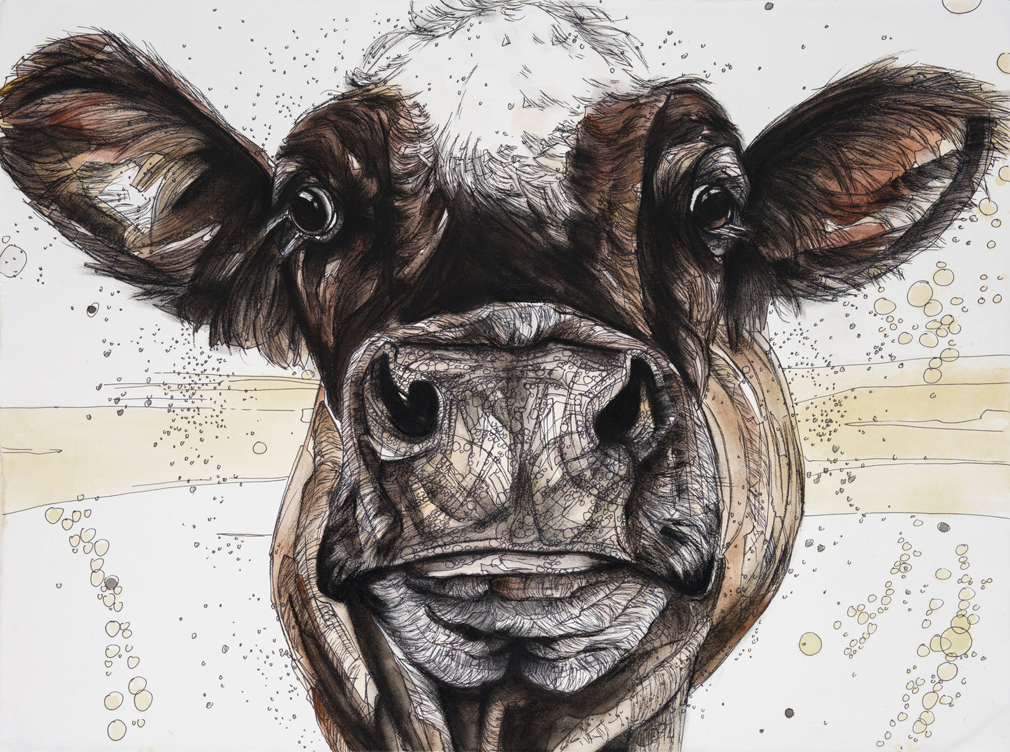 Jersey Cow