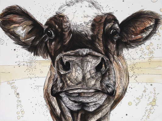 Jersey Cow