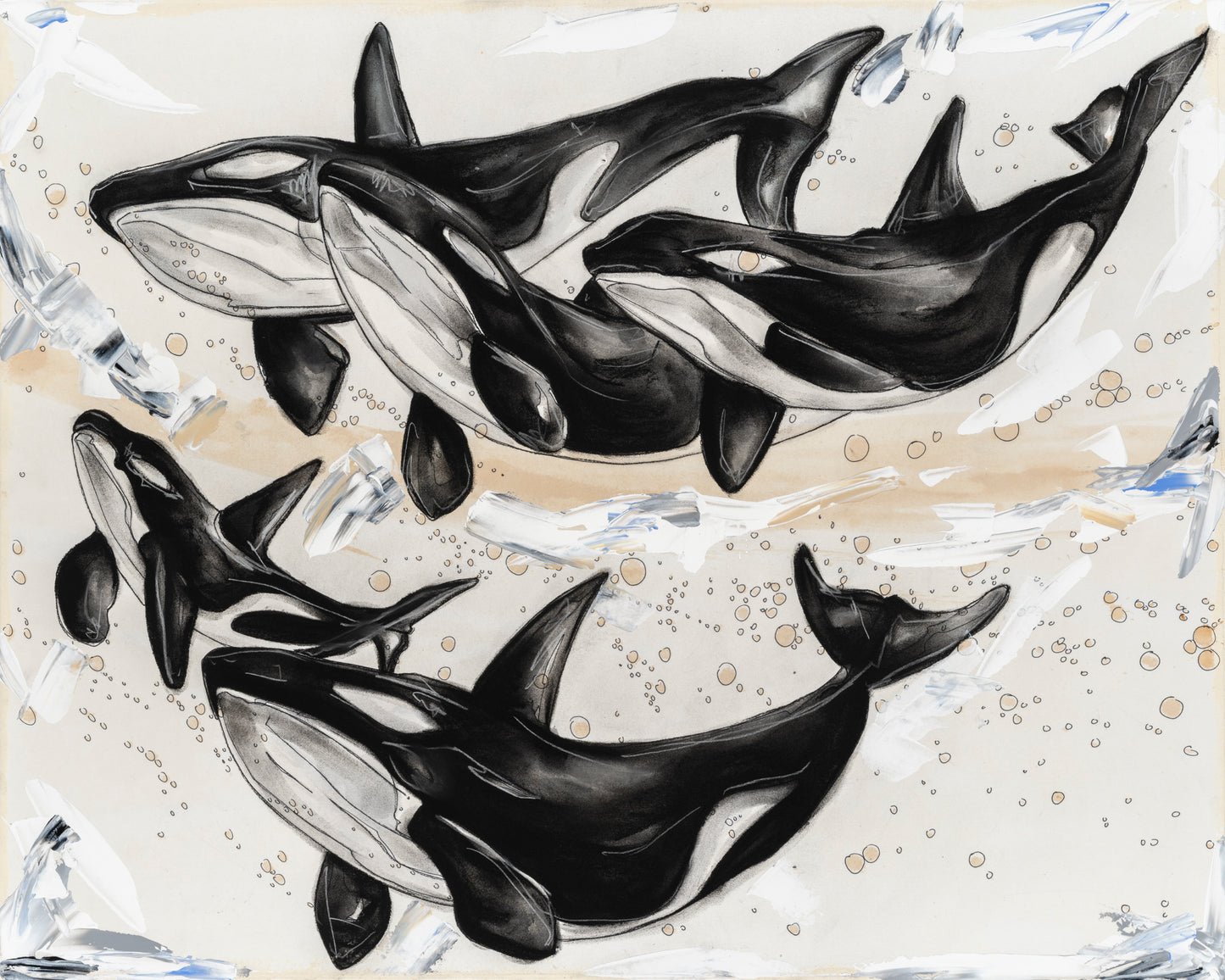 Pod of Orcas