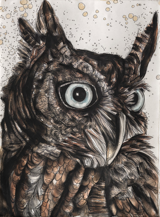 Screech Owl