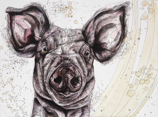 Pink Pig