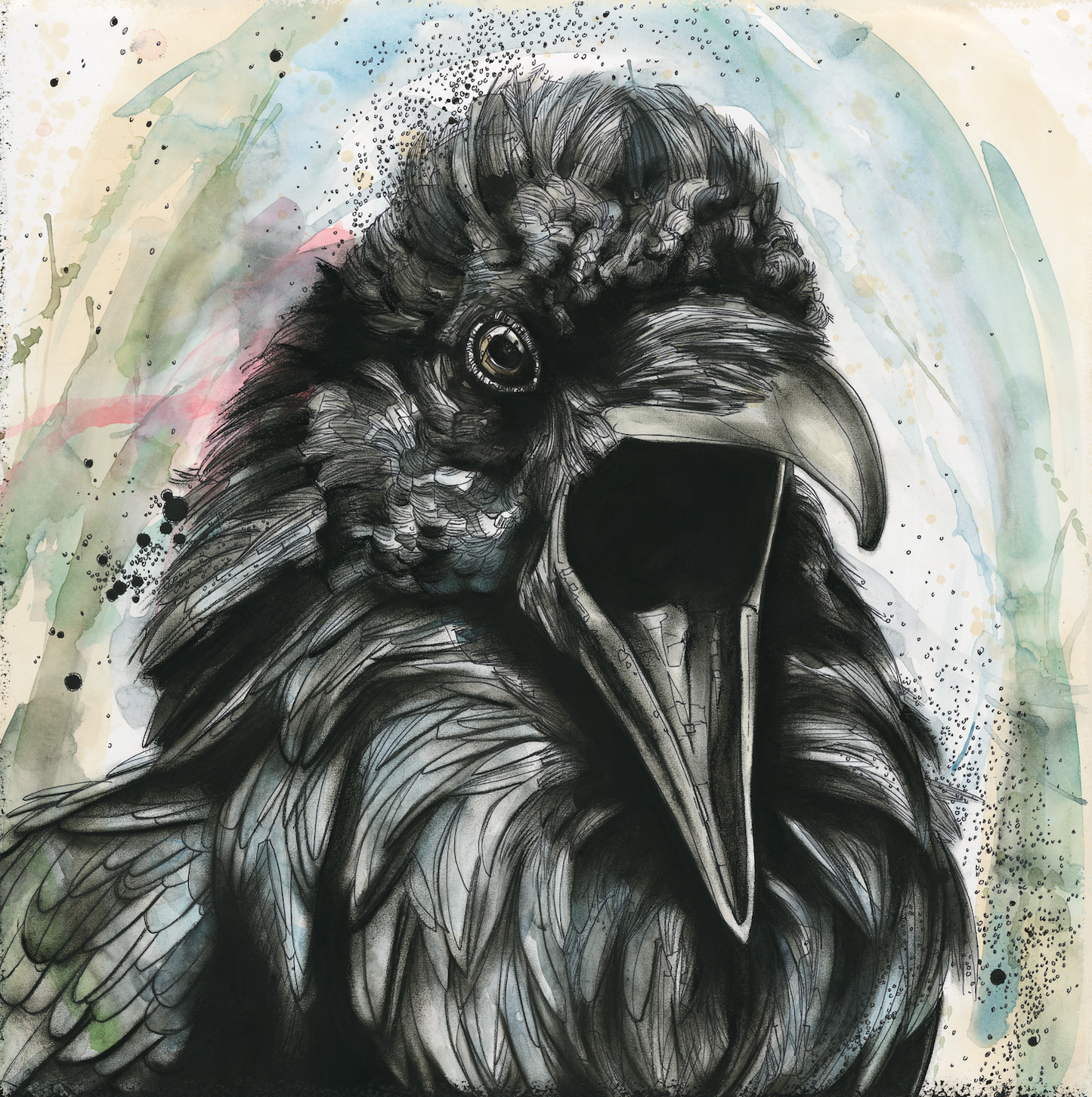 Talking Raven