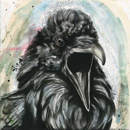 Talking Raven