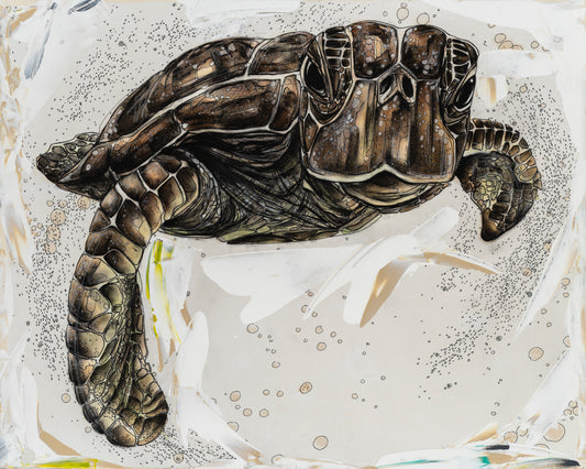 Sea Turtle
