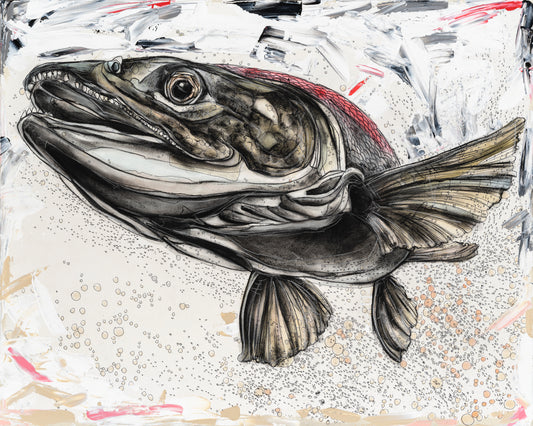 Salmon