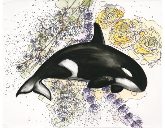 Buttercup Orca