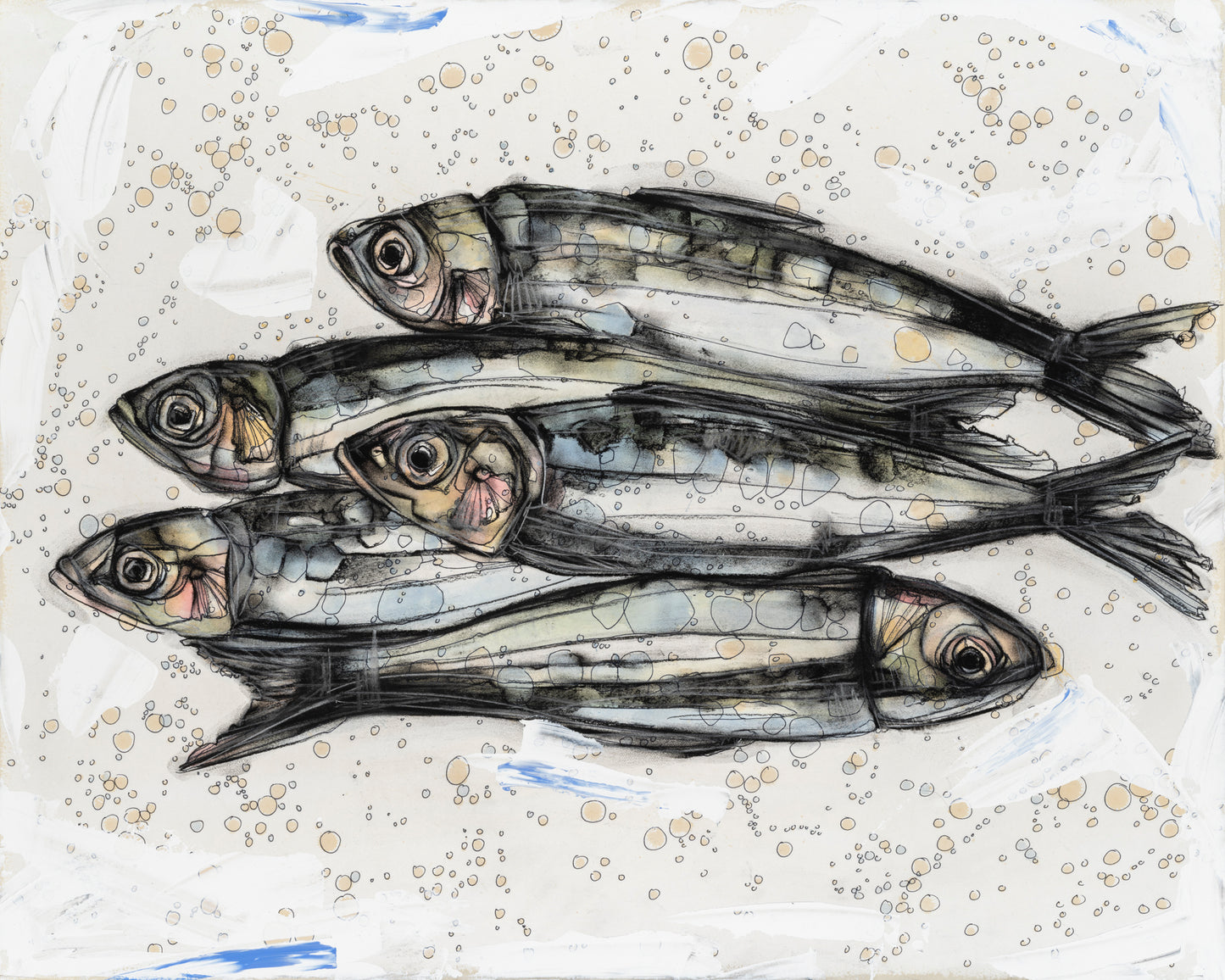 Capelin Fish