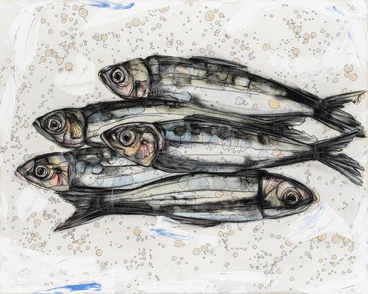 Capelin Fish