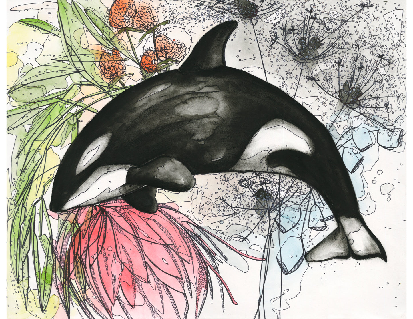 Dandelion Orca