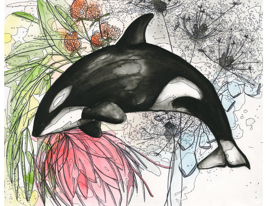 Dandelion Orca