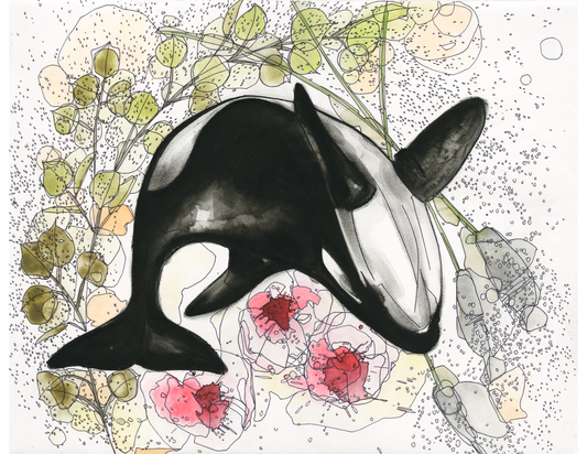 Eucalyptus Orca