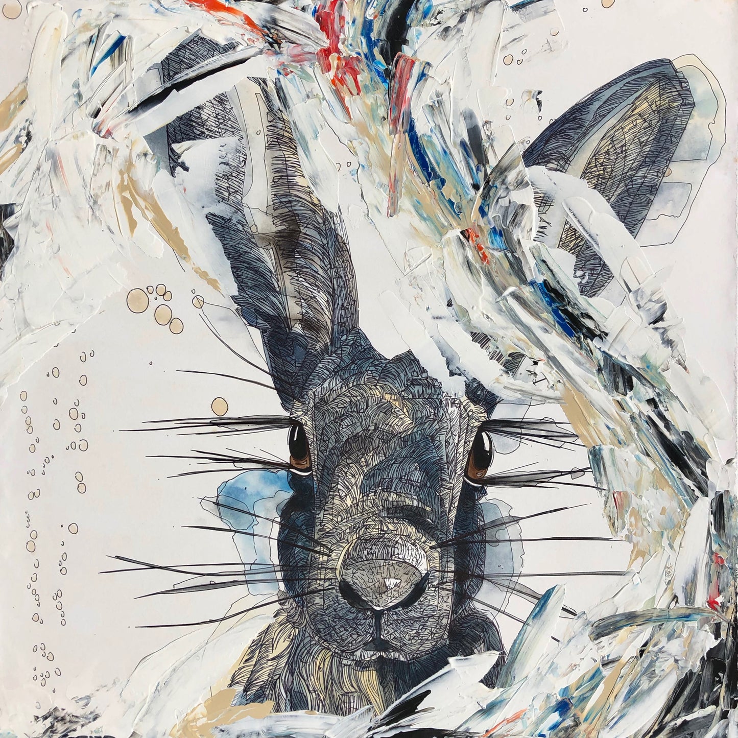 Painted Hare
