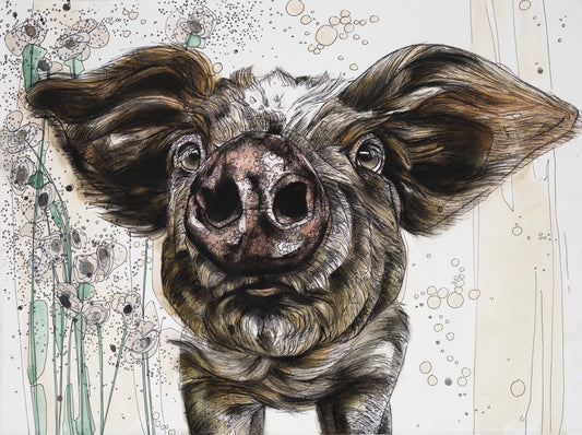 Kuni Kuni Pig