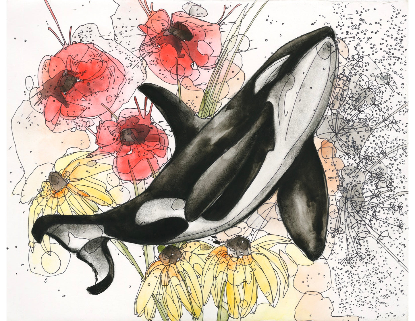 Poppy Orca