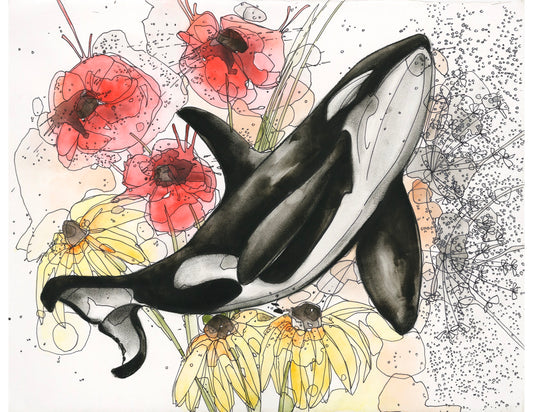 Poppy Orca