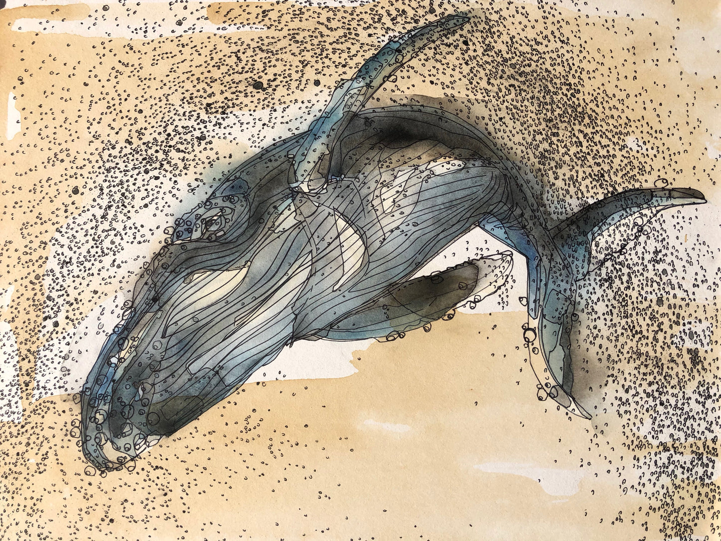 Tea Stained Humpback #3