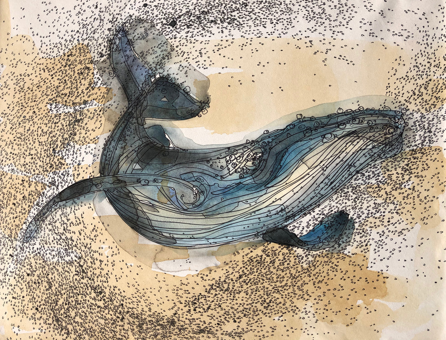 Tea Stained Humpback #4