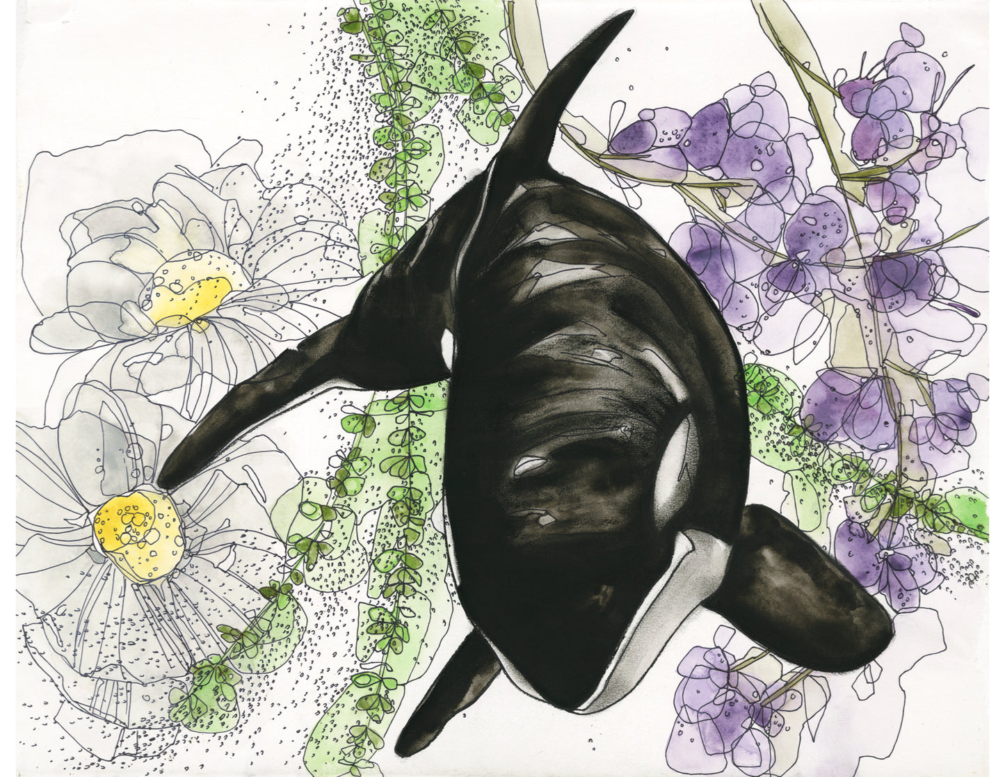 Thyme Orca