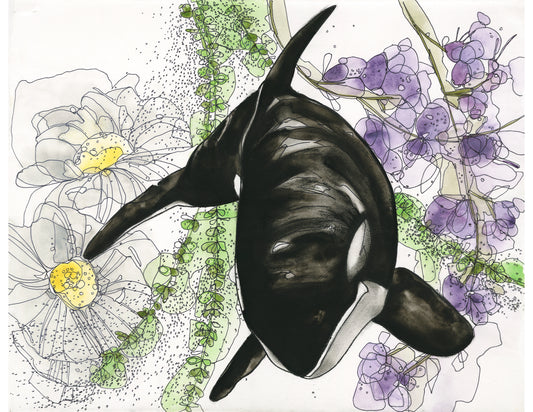 Thyme Orca